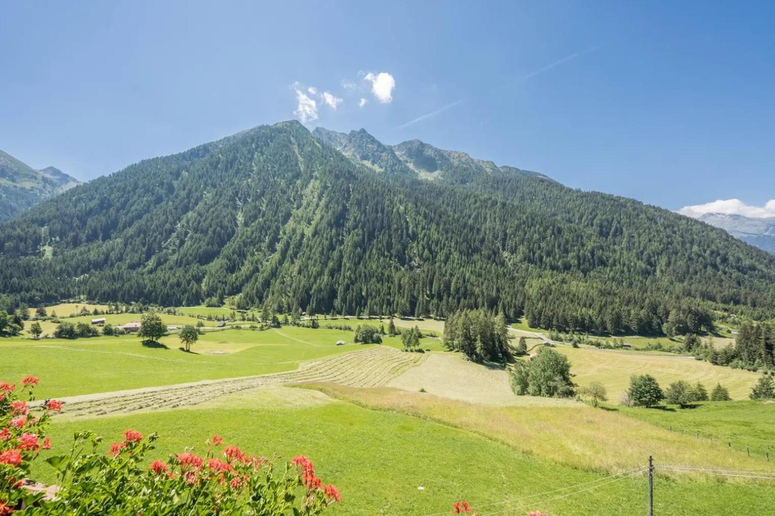 Gasthof Innerwalten Сан-Леонардо-ин-Пассирия Экстерьер фото